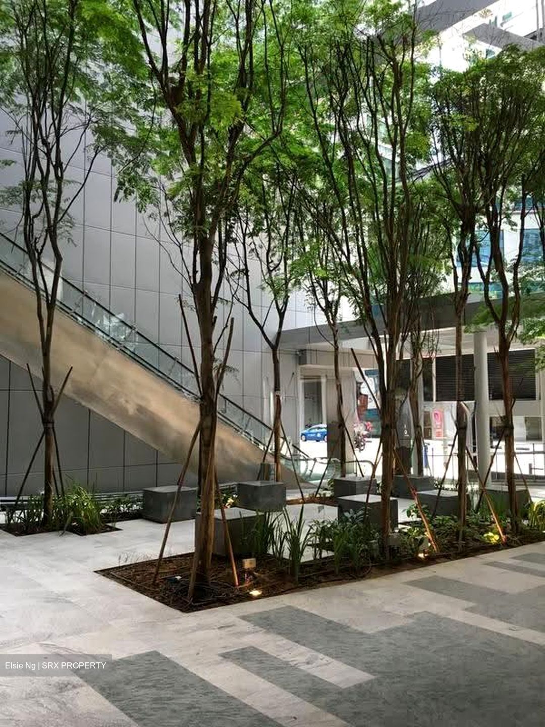 Sbf Center (D1), Retail #607288591